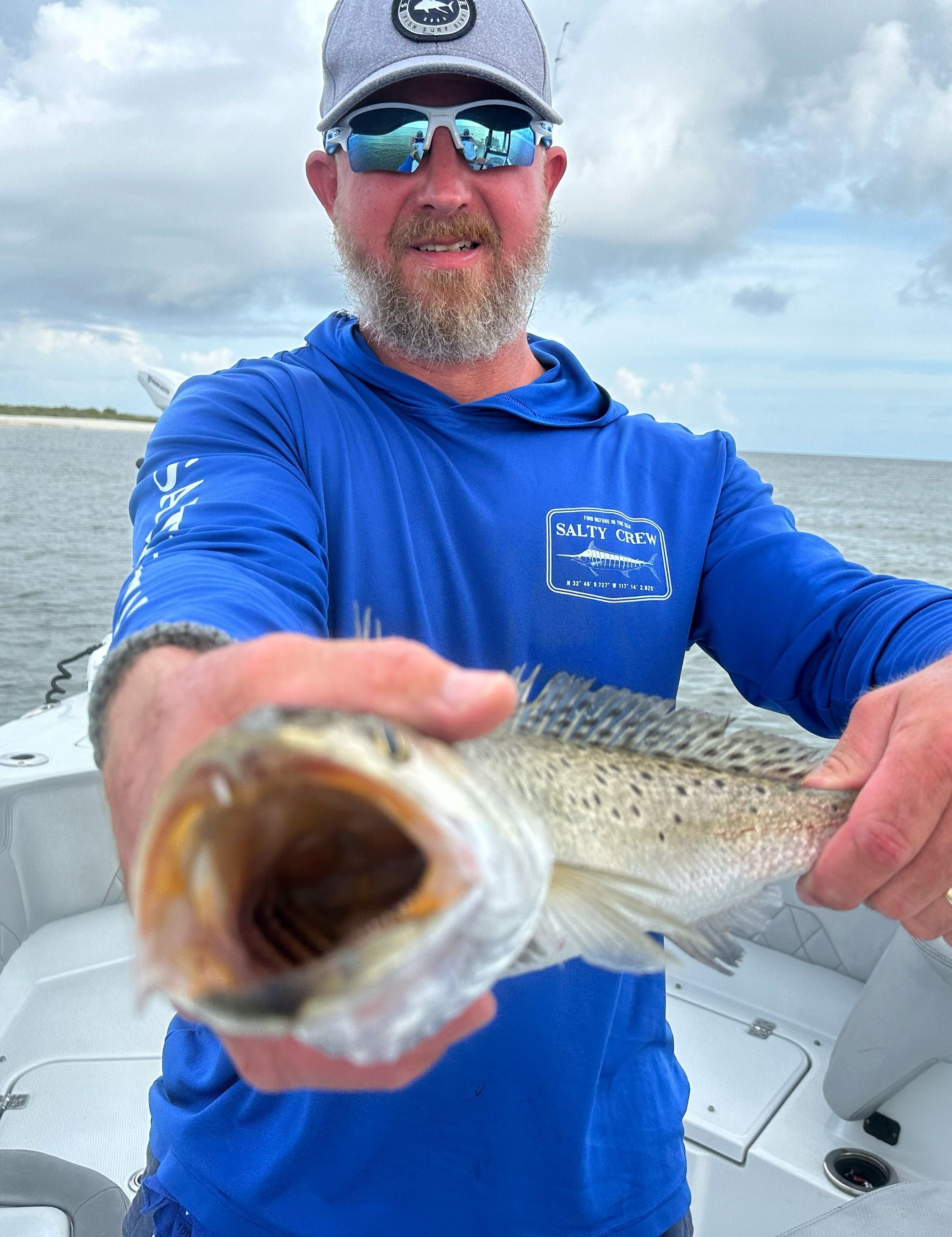 Spotted sea Trout